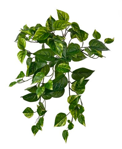 Plantă artificială Pothos, verde/galben, 45 cm, rezistentă UV