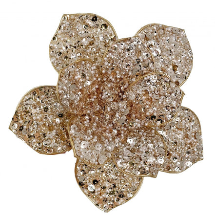MAGNOLIE CU MARGELE SI CLIPS, SAMPANIE, 20 CM