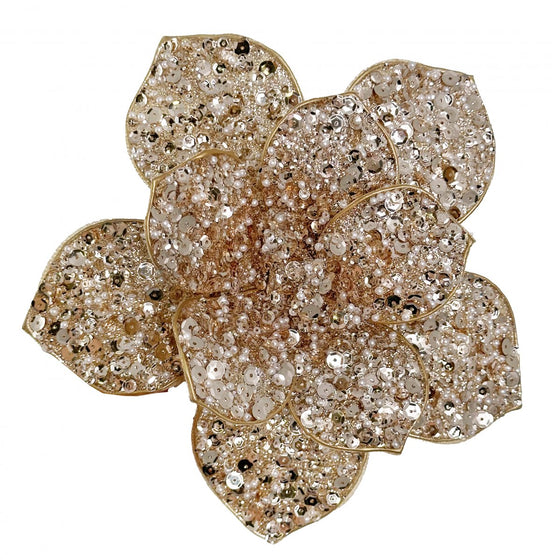 MAGNOLIE CU MARGELE SI CLIPS, SAMPANIE, 20 CM