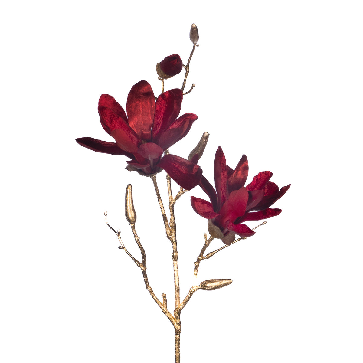 Ramură de magnolie cu boboci, burg/auriu 66cm