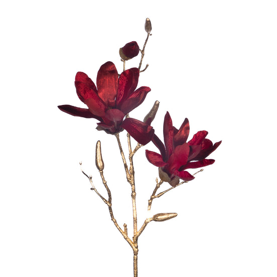 Ramură de magnolie cu boboci, burg/auriu 66cm
