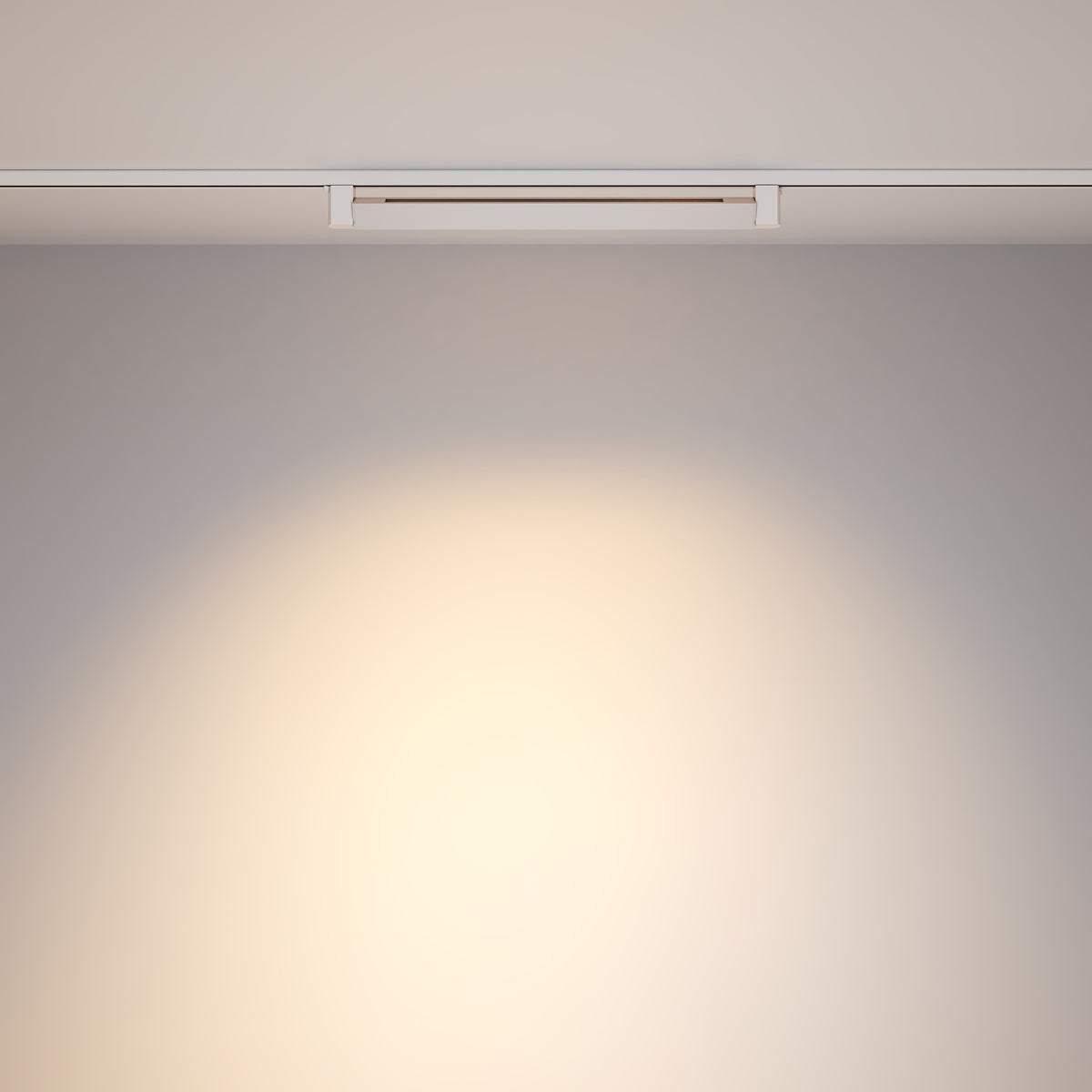 Track Lighting TR010-1-20W3K-M-W