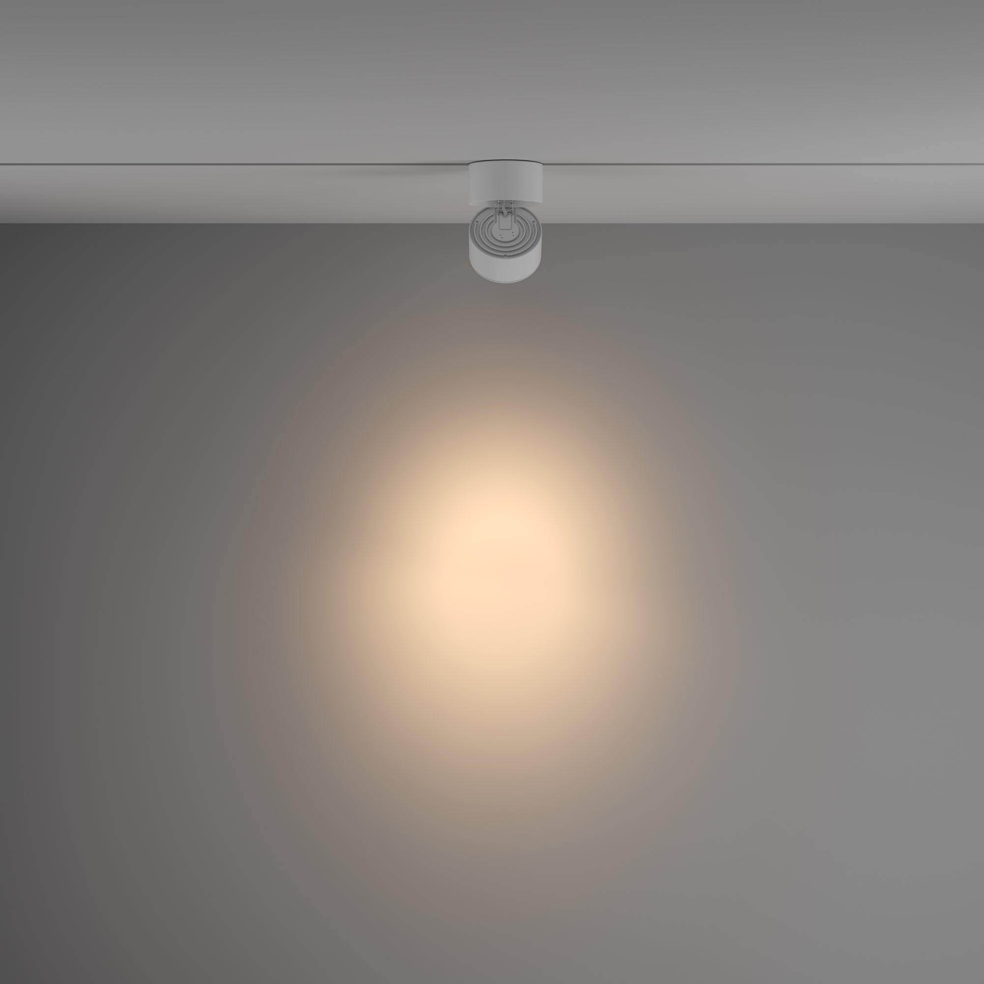 Track Luminaire TR084-1-15W3K-D-W