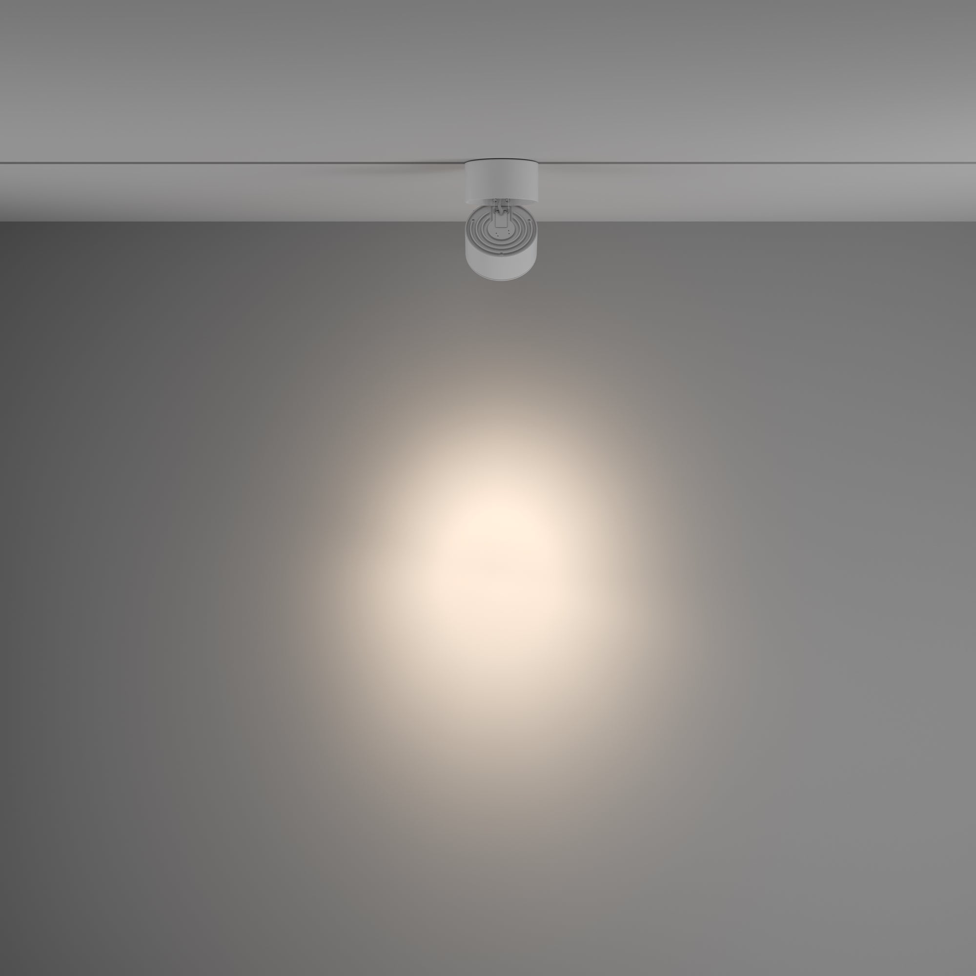 Track luminaire TR084-1-15W4K-D-W
