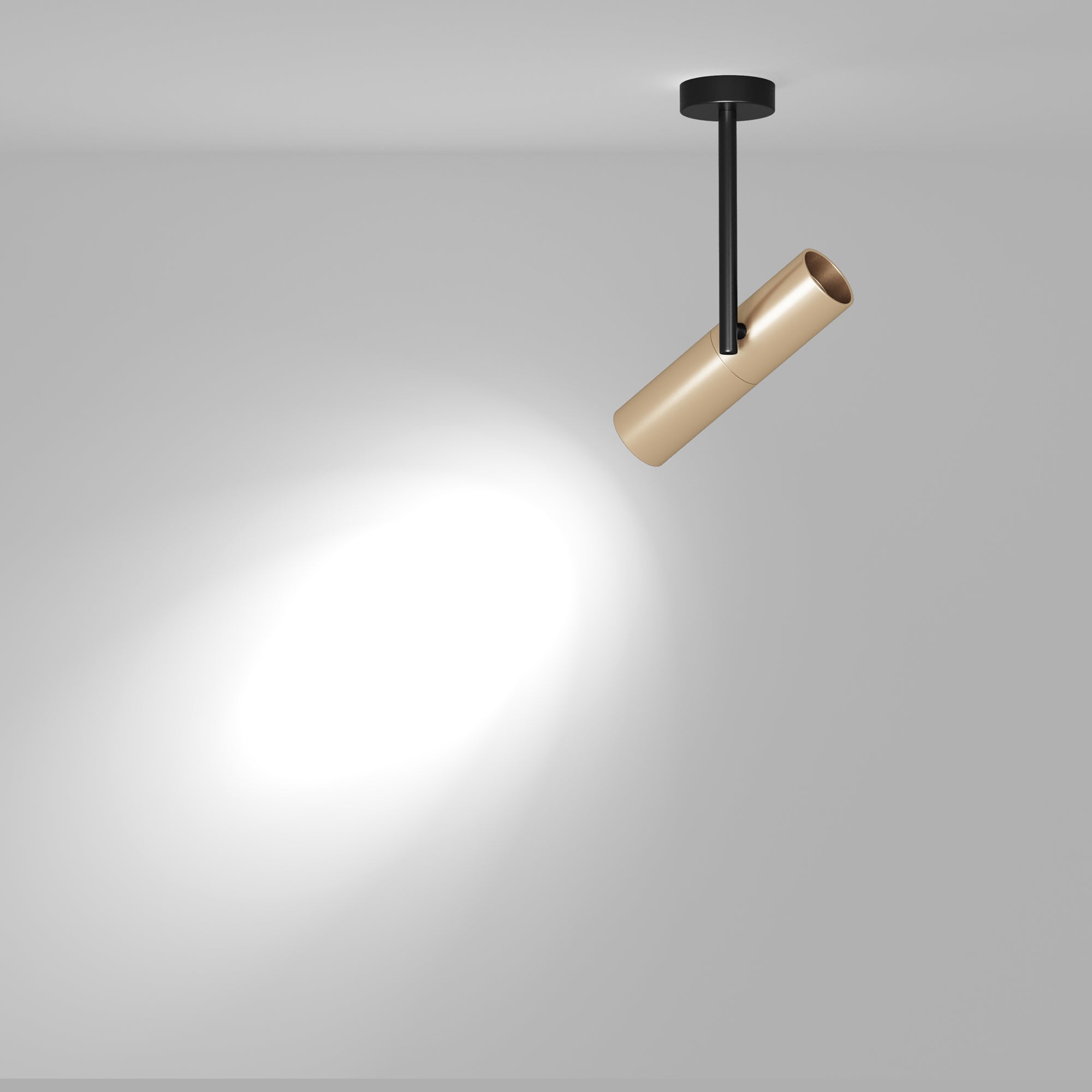 Plafoniera C020CL-01GB
