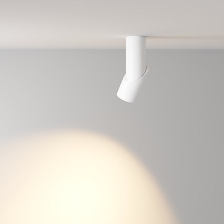 Plafoniera C027CL-L10W