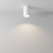 Ceiling luminaire C029CL-01-S-W