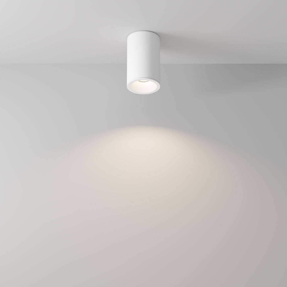 Ceiling luminaire C029CL-01-S-W