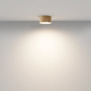Plafoniera C032CL-12W3K-RD-MG