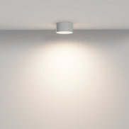 Plafoniera C032CL-12W3K-RD-W