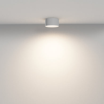 Plafoniera C032CL-12W3K-RD-W