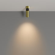 Plafoniera C055CL-L12W3K-W-BS