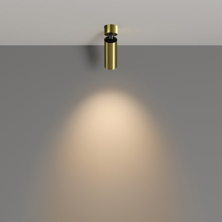 Plafoniera C055CL-L12W3K-W-BS