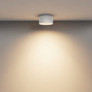 Corp de iluminat de tavan C089CL-15W3K-W