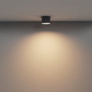 Plafoniera C089CL-8W3K-B