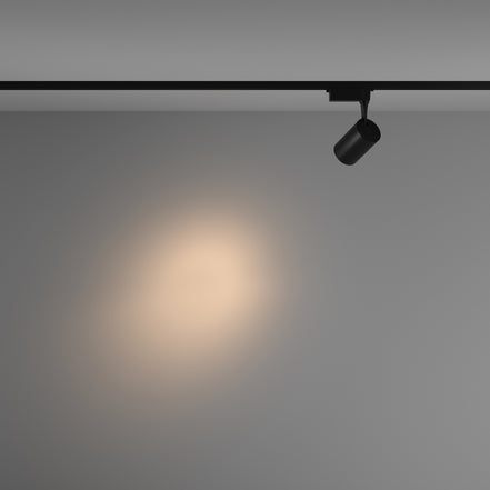 Track Lighting TR003-1-10W3K-S-B