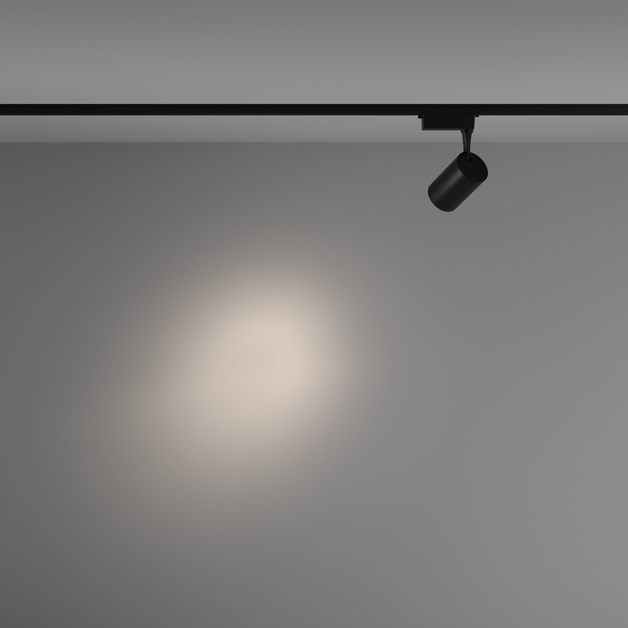 Track Lighting TR003-1-10W4K-S-B