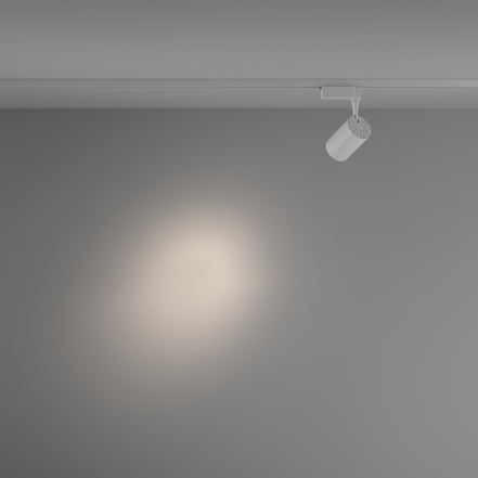 Track Lighting TR003-1-10W4K-S-W