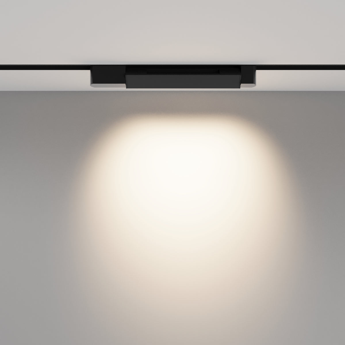 Track Lighting TR010-1-10W4K-M-B-DE