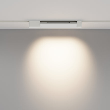 Track Lighting TR010-1-10W4K-M-W-DE