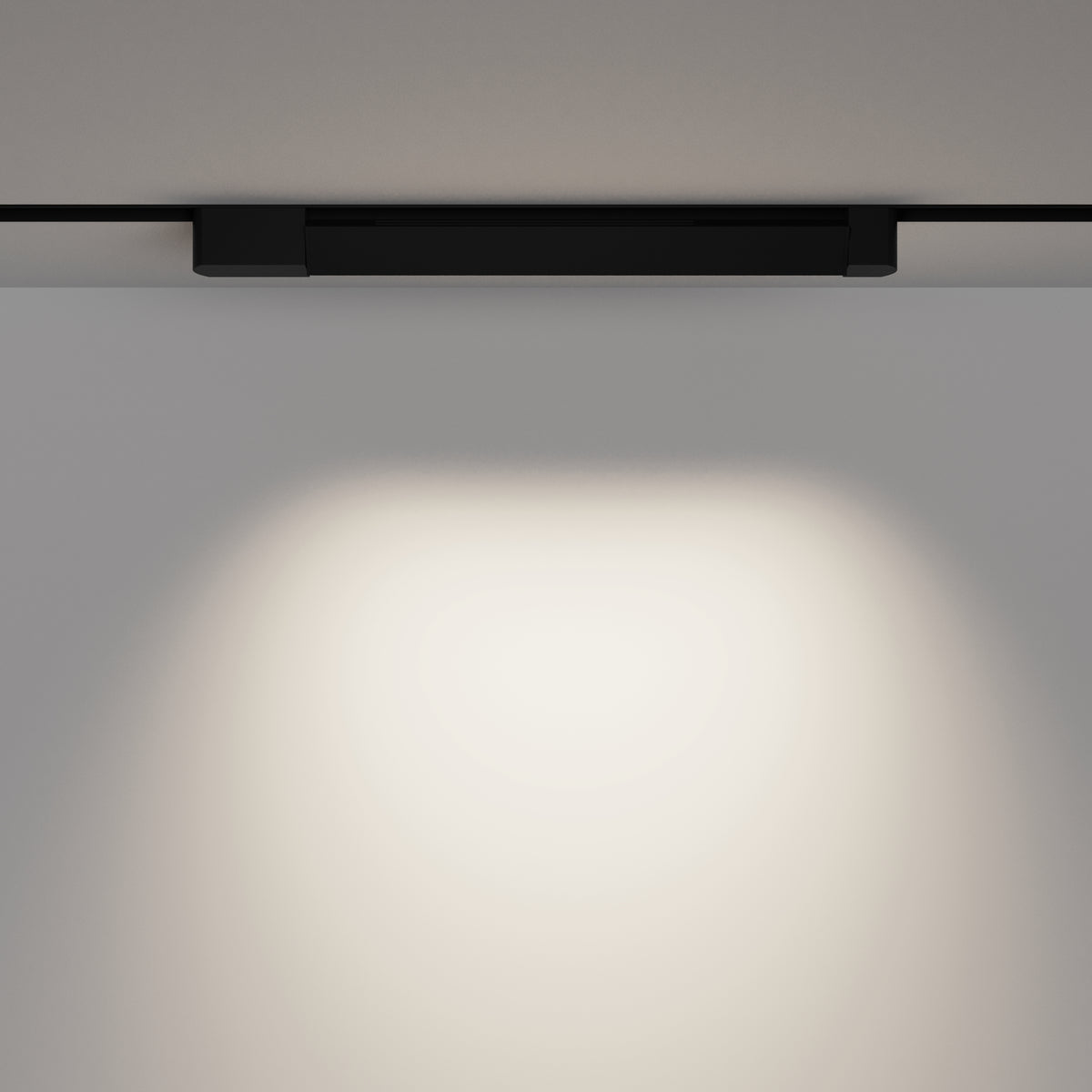 Track Lighting TR010-1-22W4K-M-B-DE