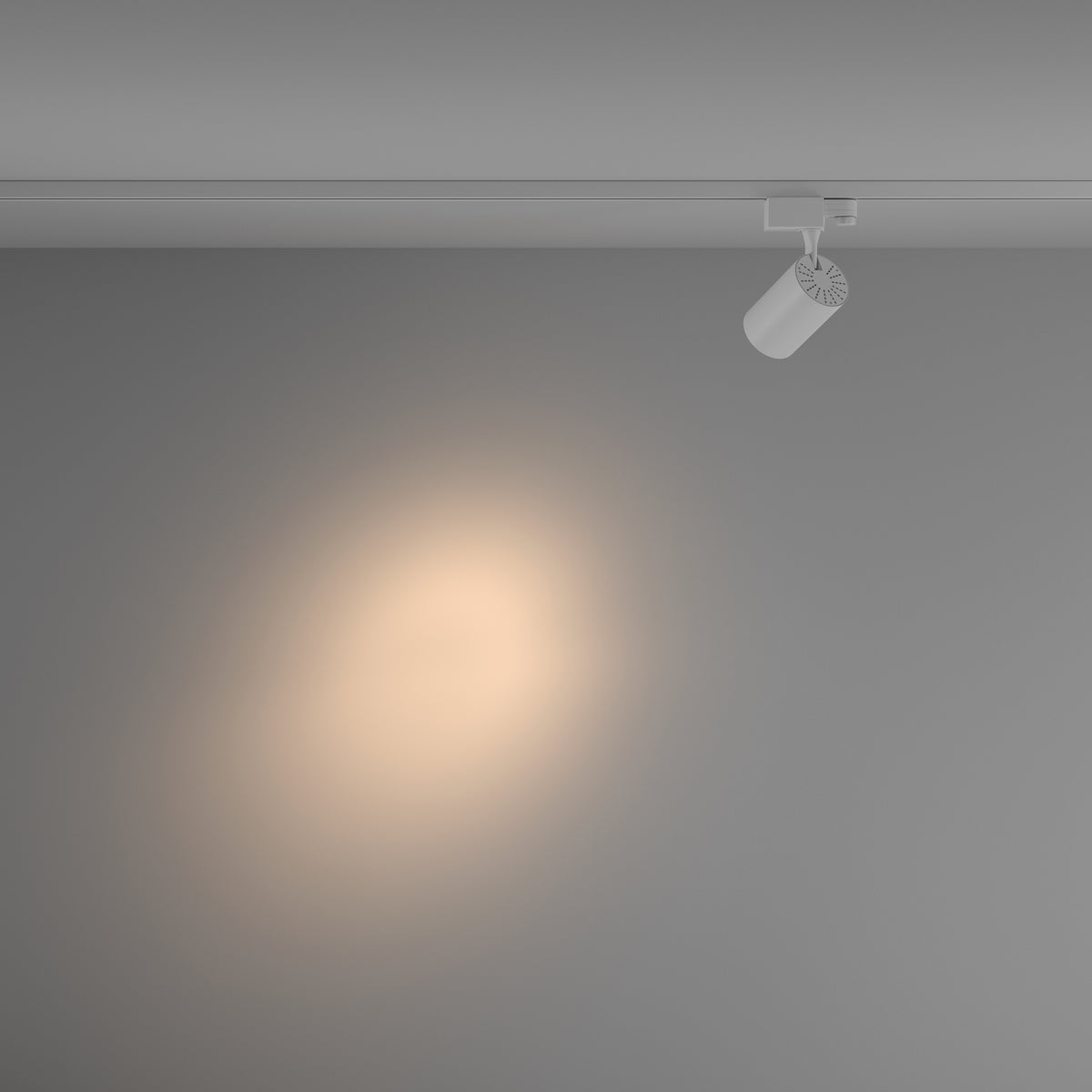 Track luminaire TR029-3-10W3K-S-W