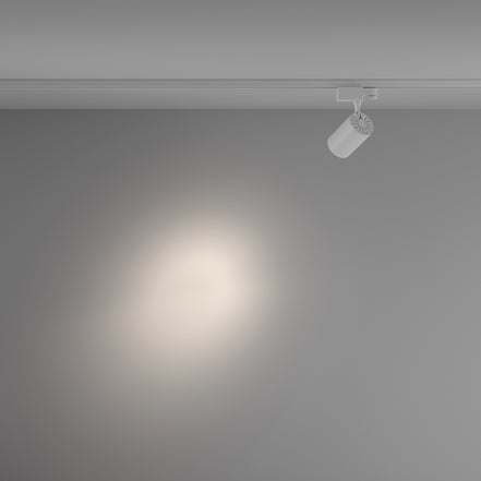 Track luminaire TR029-3-10W4K-S-W