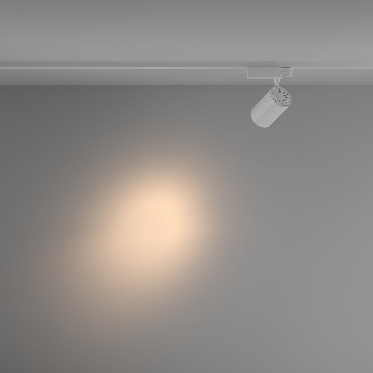 Track luminaire TR029-3-20W3K-S-W