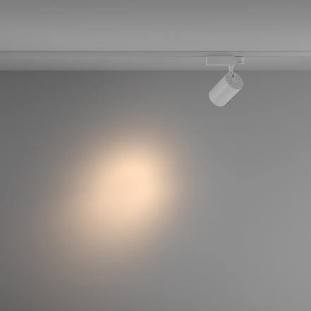 Track luminaire TR029-3-20W3K-S-W