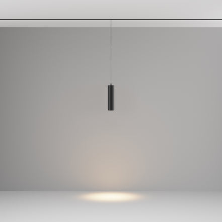 Corp de iluminat cu suspendare TR041-2-12W3K-B