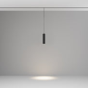 Corp de iluminat cu suspendare TR041-2-12W4K-B