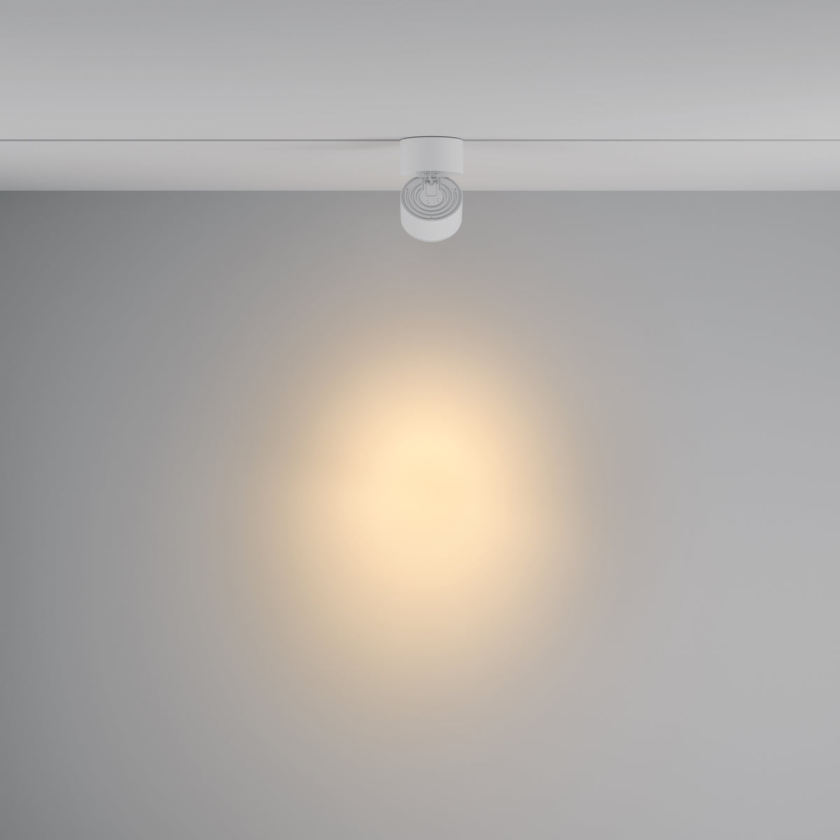 Track Lighting TR084-1-15W3K-D-W-DE