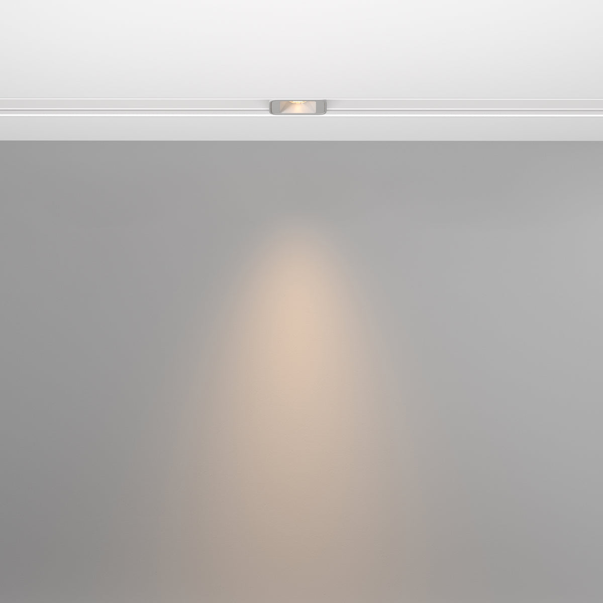 Track luminaire TR100-2-2W3K-S-W