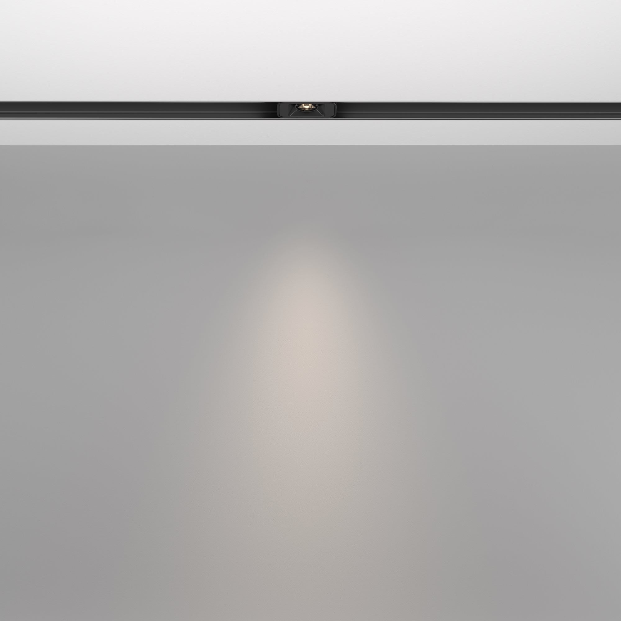 Track luminaire TR100-2-2W4K-S-B