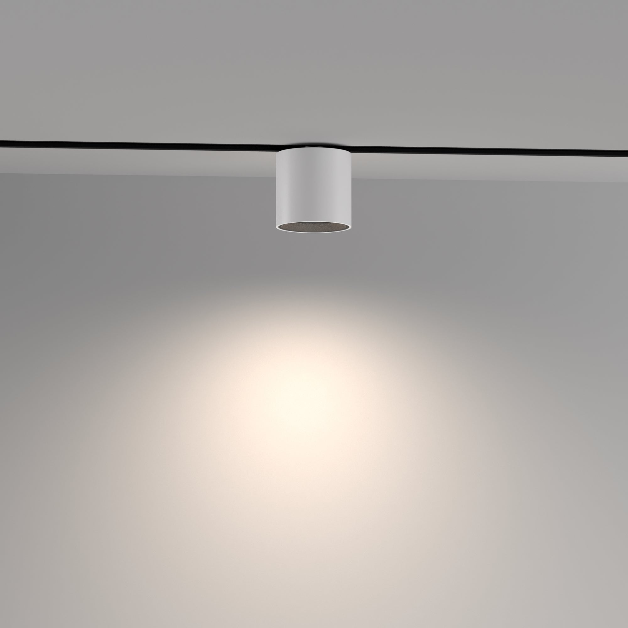 Corp de iluminat pe șină TR132-4-7W-DS-W