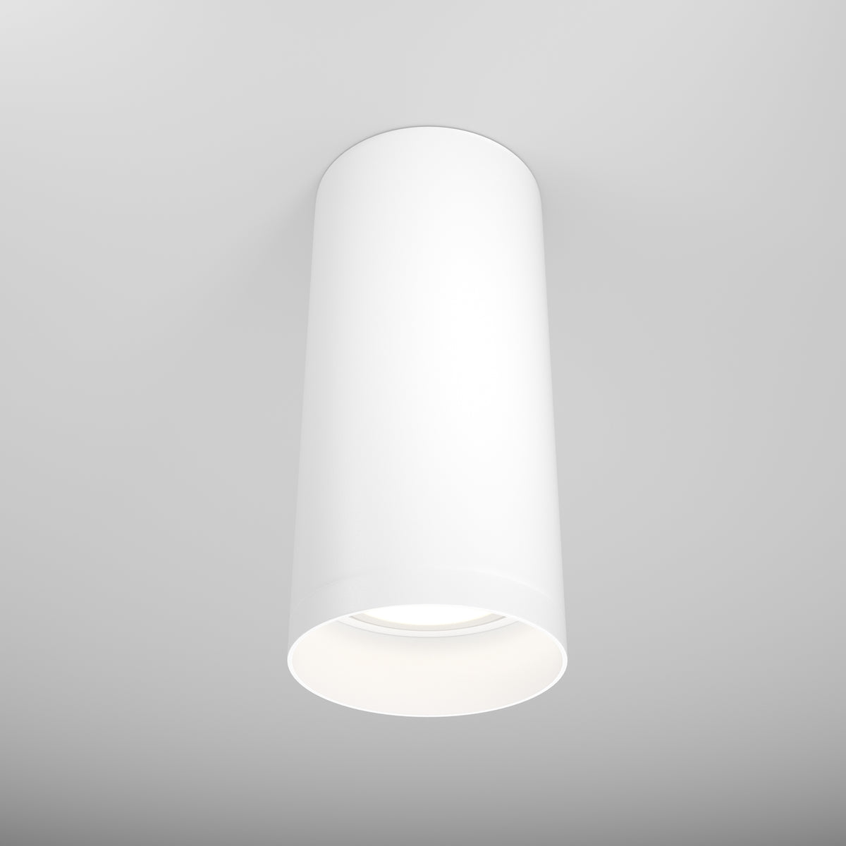 Corp de iluminat de tavan C010CL-01W
