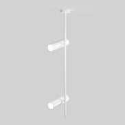 Plafoniera C021CL-02W