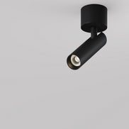 Plafoniera C141CL-L125-6W3K-B