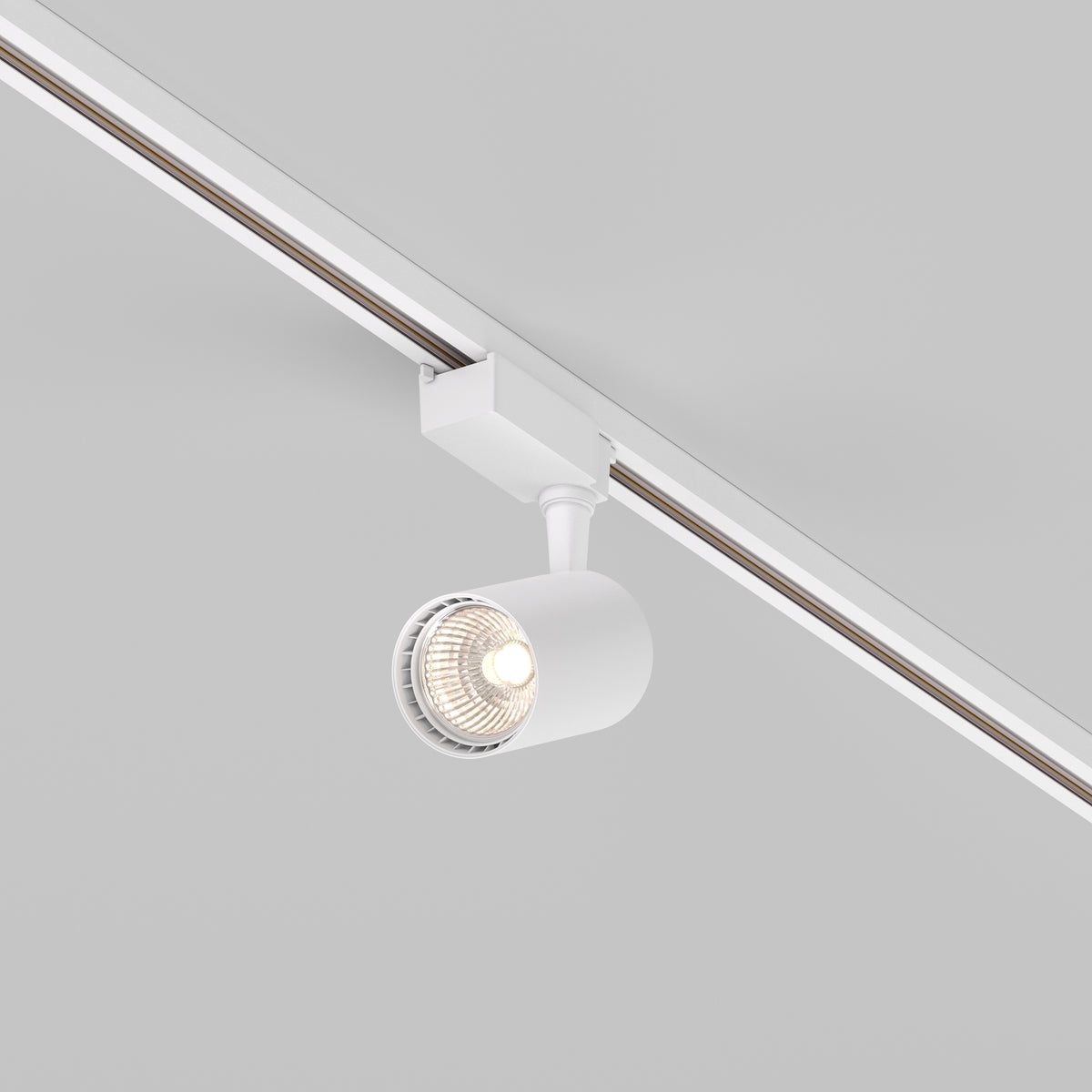Track Lighting TR003-1-10W3K-S-W