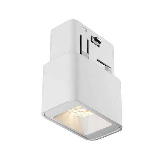 Track luminaire TR100-2-2W3K-S-W