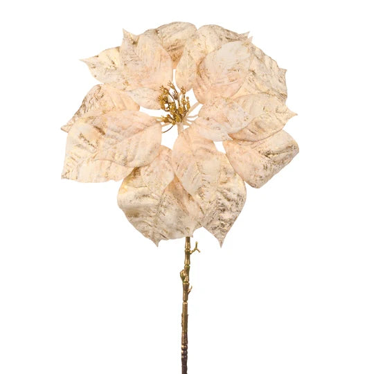 Craciunita pe tulpina crem / auriu 81cm