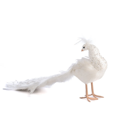 Paun cu pene display alb 55cm