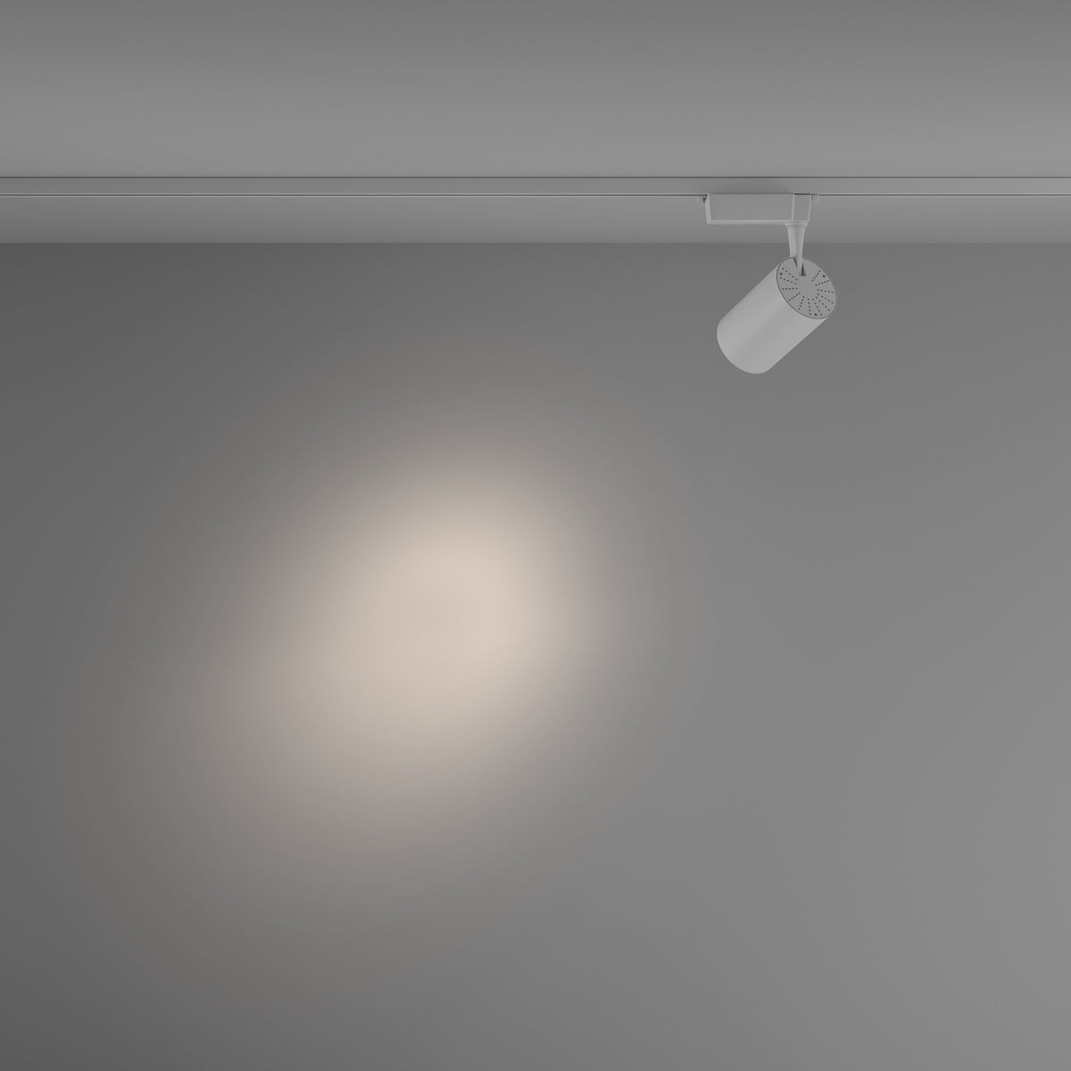 Track Lighting TR003-1-15W4K-S-W