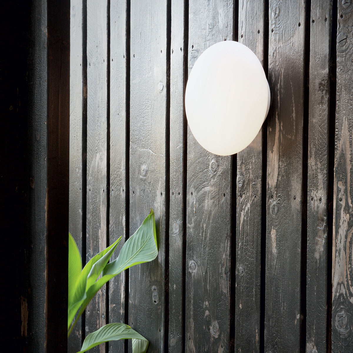 Aplică de exterior Bubble AP2 – ambient