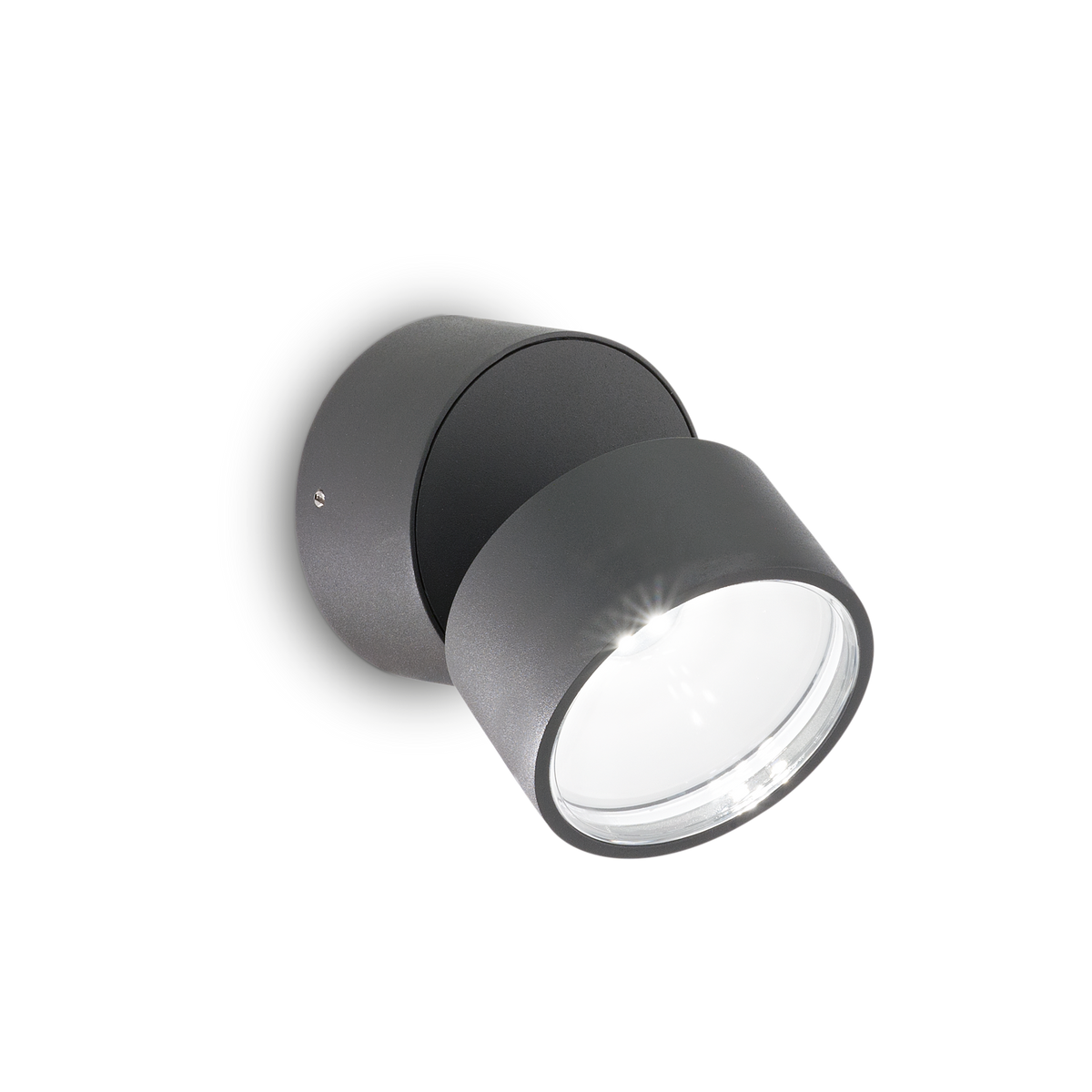 Aplică de exterior Omega AP rotundă 3000K, antracit