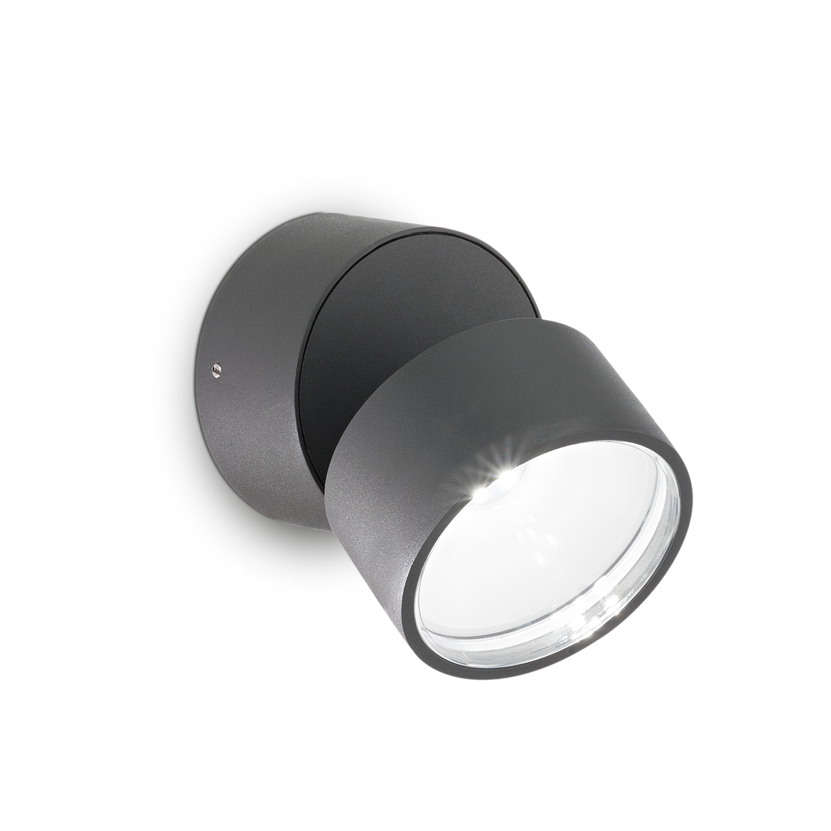 Aplică de exterior Omega AP rotundă 4000K, antracit