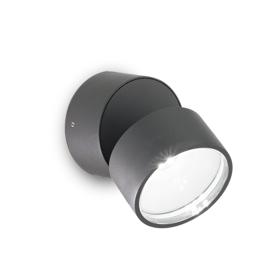 Aplică de exterior Omega AP rotundă 4000K, antracit