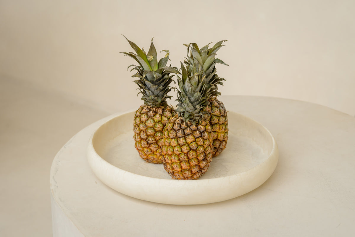 Bol decorativ Daisy, alb