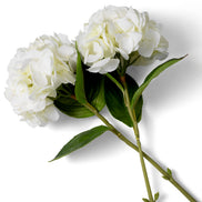 Buchet de hortensii, nuanțe de alb, cu aspect natural, 48 fire