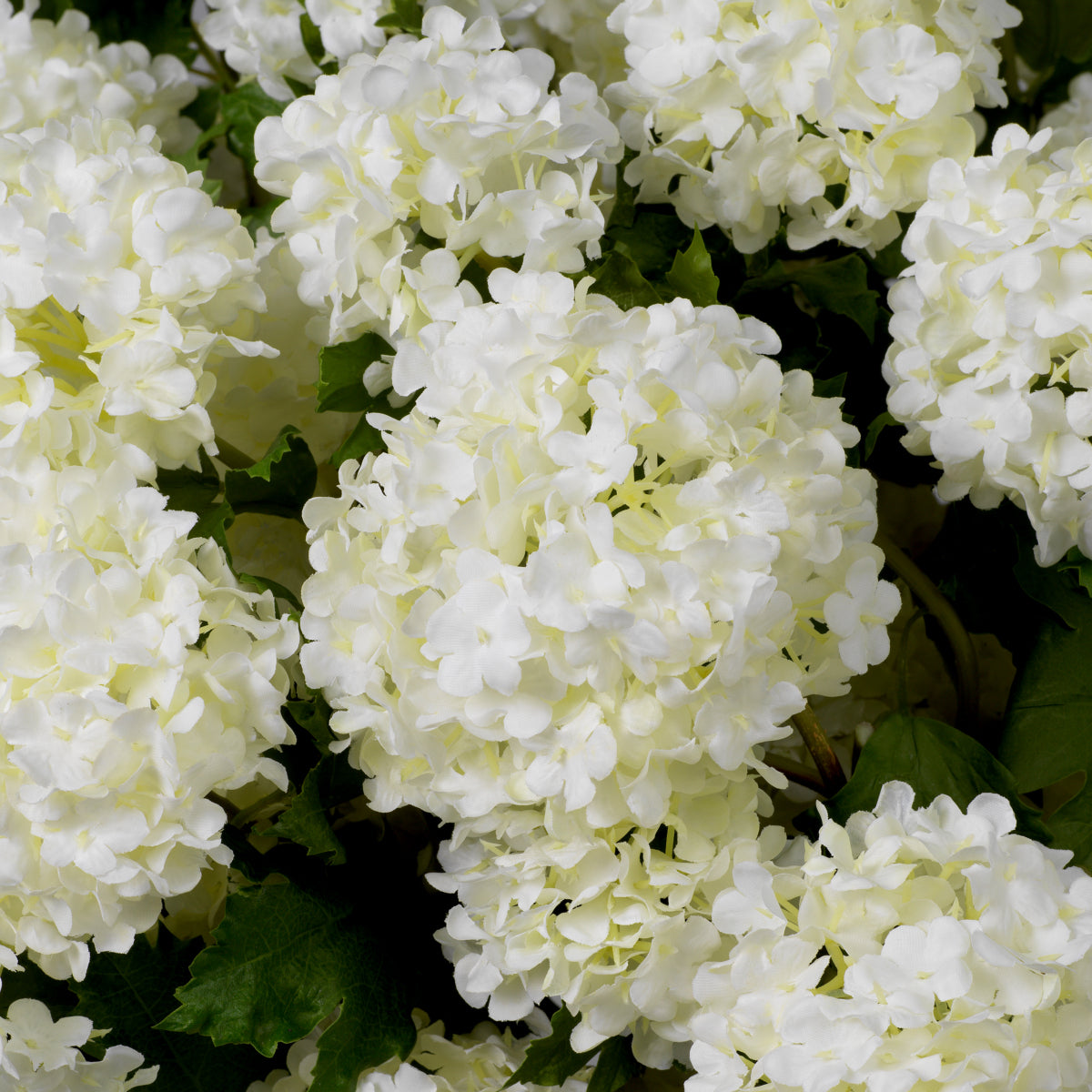Buchet de hortensii snowball, alb, cu aspect natural, 36 fire